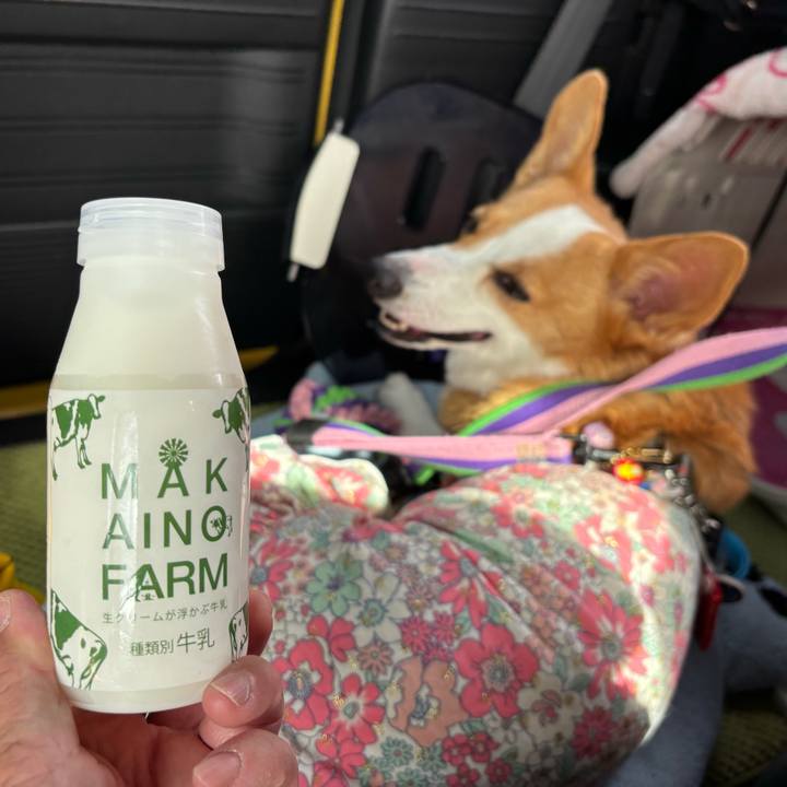 D57d4f31 dd03 4da1 9c1f 4af4755dd1a4 1760350575006