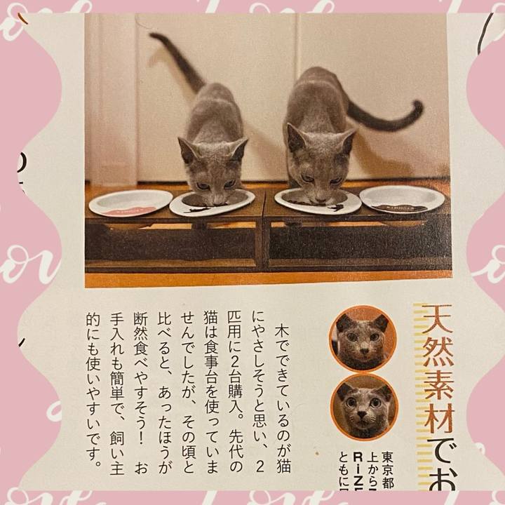 D57d7ccd 2668 49d1 b2fa 54dc8209716b 1670583284281