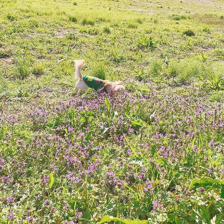 D57dd30a 8a61 4968 9038 c2a85caca17a 1616489819208