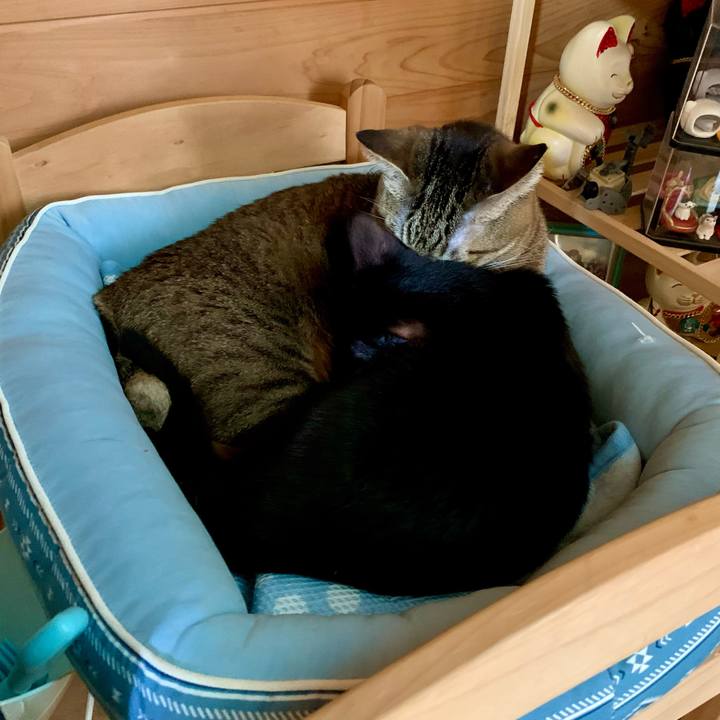 D57dd89a 6ce4 4395 ab0f 97a53be096a4 1644625937096