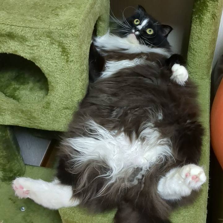 D57de4e3 2a21 4ed3 853d 507ce29cdde8 1689296131568