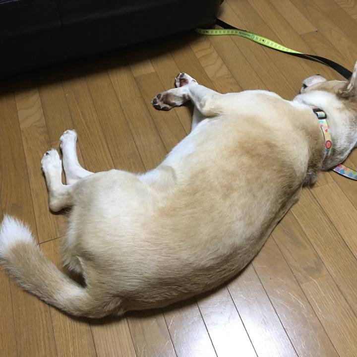 D57df664 b070 4326 a194 290feb806ef0 1539005441655