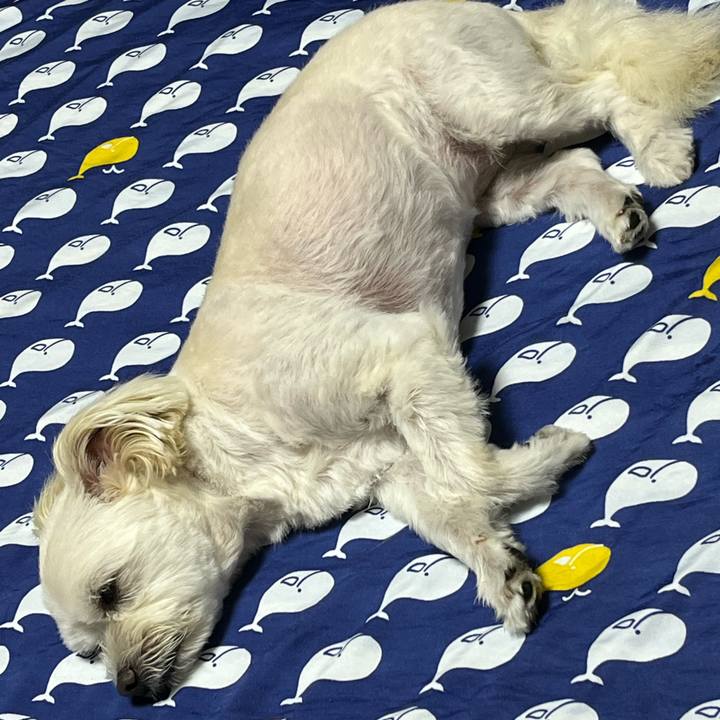 D57dfd8f bc78 4568 ad1b 6771c7bc383f 1659100708549