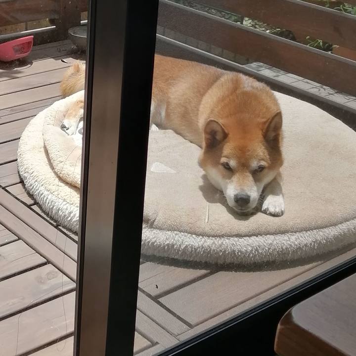 D57e4228 72d7 4235 b51e f686f4bc5947 1626232974369