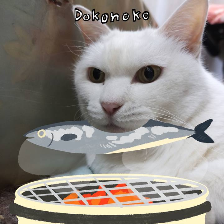 D57e92da f3c5 4c18 accb 32263b85e90d 1761105536411