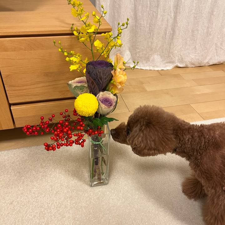 D57ec785 1dcf 487c 8b6c aa701f217817 1640649994236