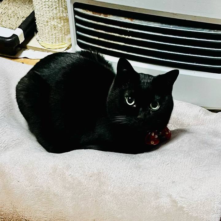 D57ef39d 500e 4e09 8cf5 304a3c1011a8 1772834218801