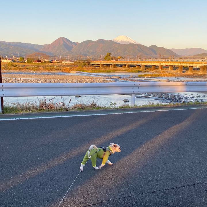 D57f0b01 a850 46b3 9066 094567c716c2 1637880657498