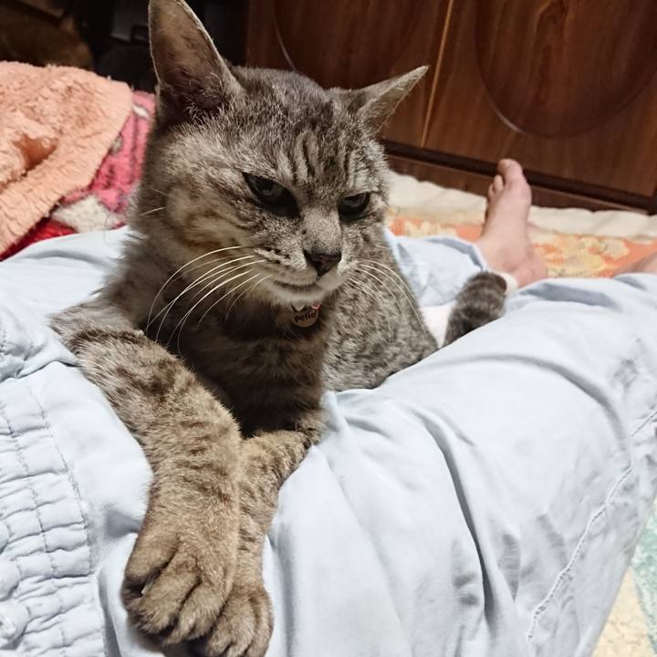 D57f42dd 88d8 4f83 a787 3f57469f0d4c 1591792764991