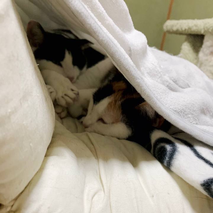 D57f5fb8 5063 4ae9 8c33 055e6a701f3d 1550197245134