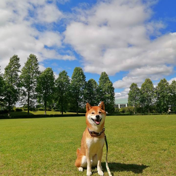 D57ff6f1 1363 49aa 9a4c c024f6cd5c41 1657238646064