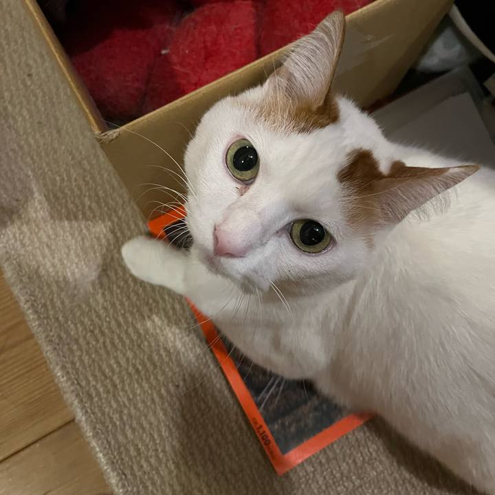 D580187f e14e 4274 b909 0d7f9ded9a8a 1763220440487