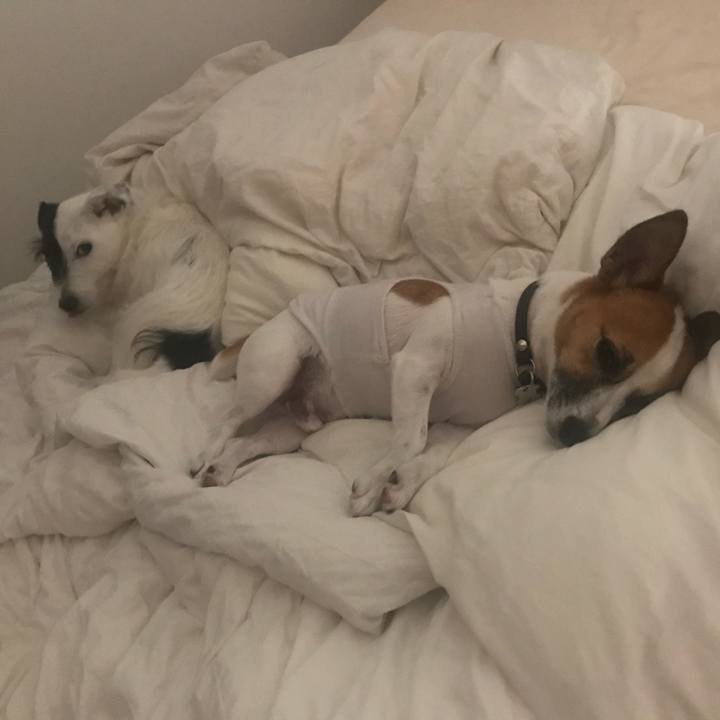 D5802870 bd8c 4f2c b17b 9a753e34cb64 1536333163721