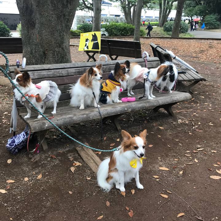 D5803044 e8e2 4426 b045 13711a3f42b6 1509338382791