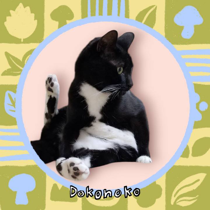 D5803178 a24e 4f32 a655 ed0554eb640e 1762599205101