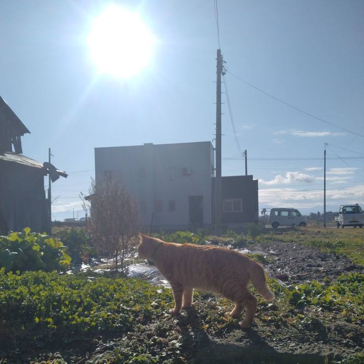 D5805e06 eab4 4e87 bc64 a175ac3435bc 1670816639129