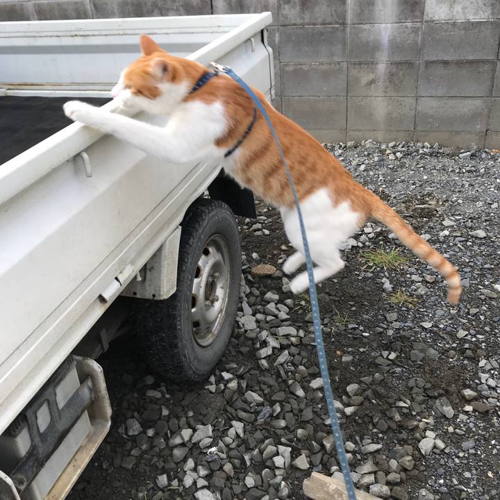 D580681d deee 4c4d 972d 2e23e9c4ed20 1513137311606