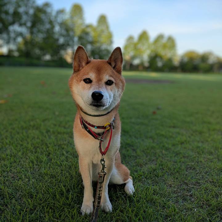 D58077ad 0050 4bc7 9894 8646d24e1c38 1752783653717