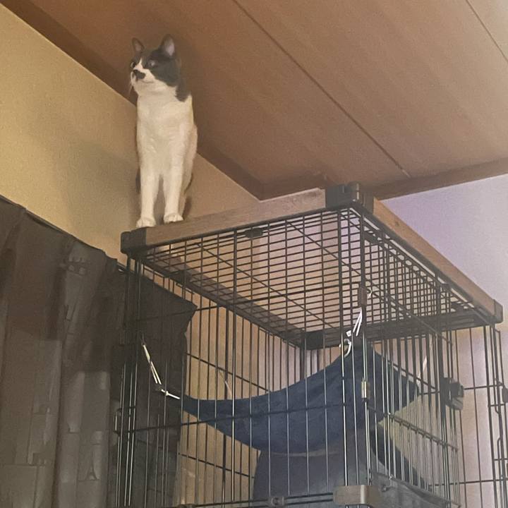 D5808b1b 151b 4a86 9dc6 ac3338efd673 1626617401002