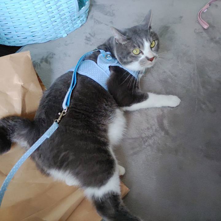 D58093b8 8179 4910 b3c0 75ff34b7b7e4 1653452104362