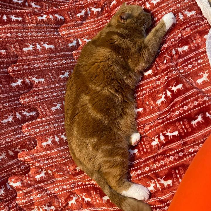 D580a4be 0a57 463d 9df2 7b508bd3ebfb 1668346407771