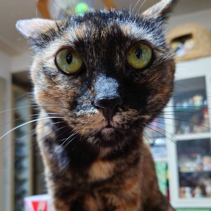 D580ec99 ee8b 4ebf a0b7 9fa5b7ef3479 1717074060463