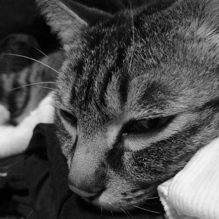 D58128be 8844 4bd7 8d56 28a5e7d38b54 1551673668602