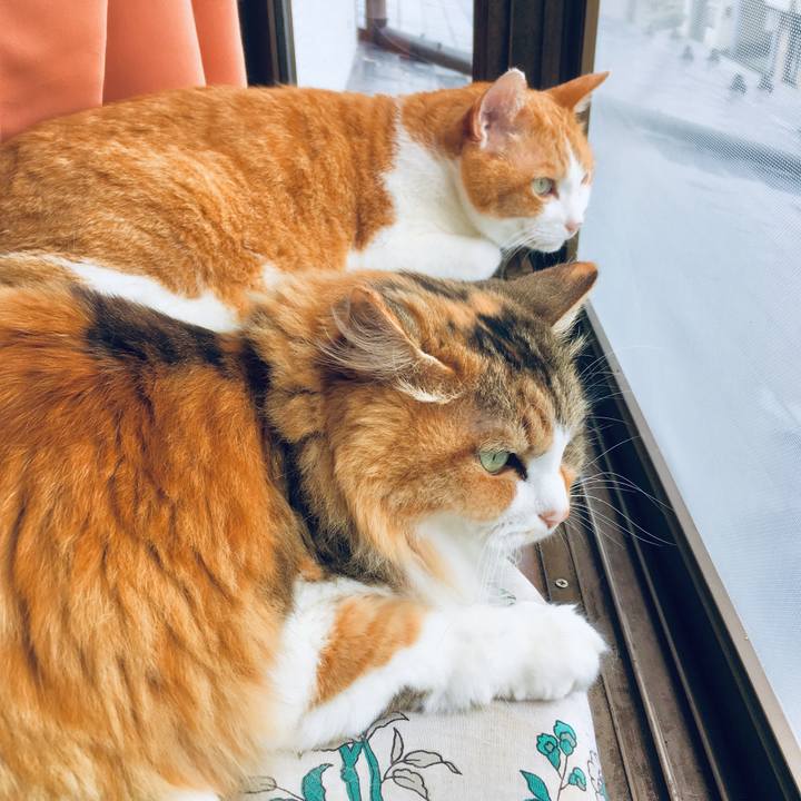 D5814d76 17e5 4e35 a1d4 97f6dd104d8b 1562471737522