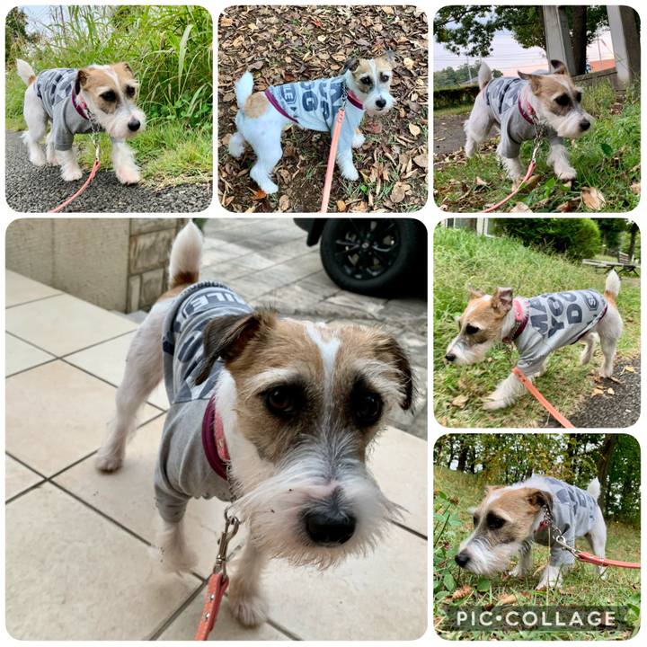 D58186c4 c48e 4669 8c42 c69d02280948 1603875277061