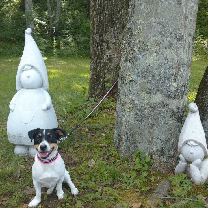 D581ad08 78e6 4c3e 9db7 a45b549b8009 1567940261045