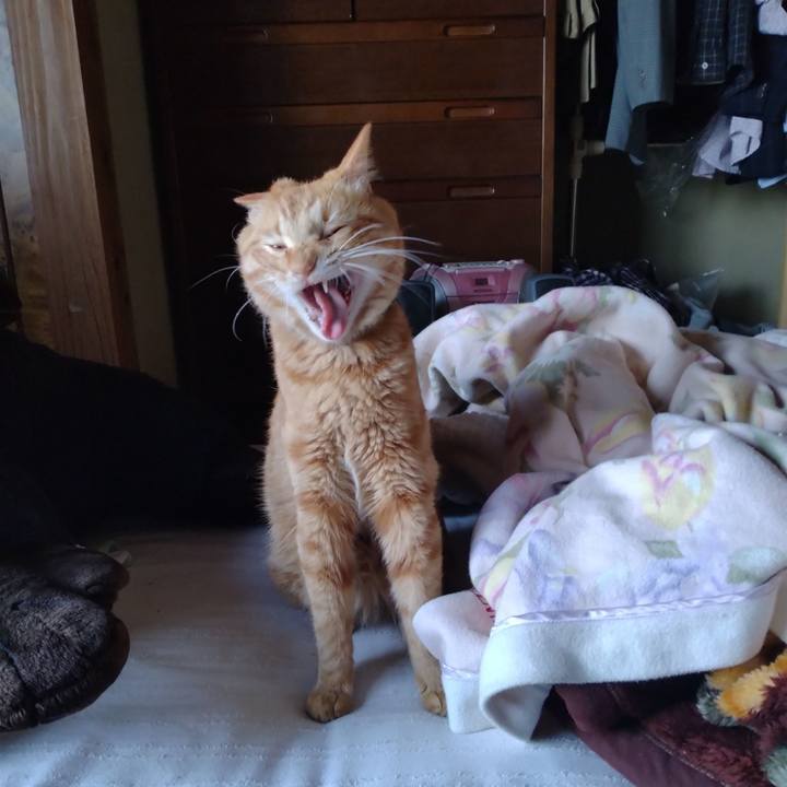 D581bd30 11b0 47e1 b5e8 8dc2b0794bbb 1679212251356