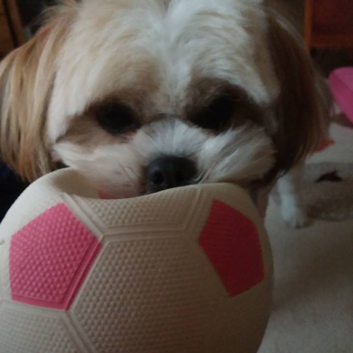 D582231c 96e9 425c a4d5 cf90db1e7d01 1514541536387