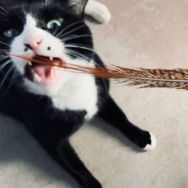 D5822d89 beb1 49c2 8636 3a0edcce1dee 1734403092425