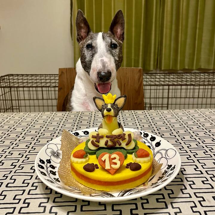 D5824f82 b26f 4c1c 9229 f5b2a8ab1981 1631255132323