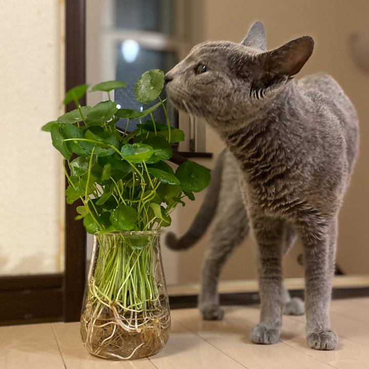 D58250ba 63b1 4726 8d73 7e5ee1b814c4 1596498334951