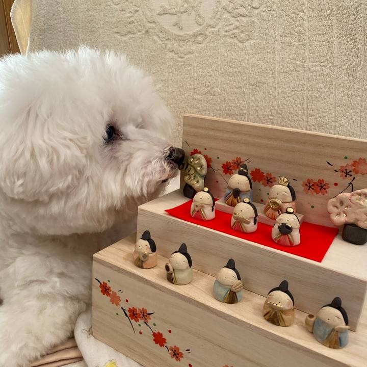 D58258cf 2535 4307 8214 60fd7d2ae380 1645139126972