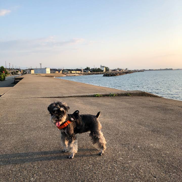 D58284d5 e87e 49ec a3f1 57695d5a7fef 1690029228443