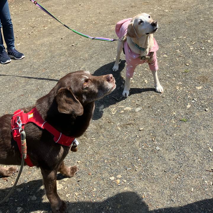 D5829db2 03b5 40e2 805f db308336cd31 1774083037571