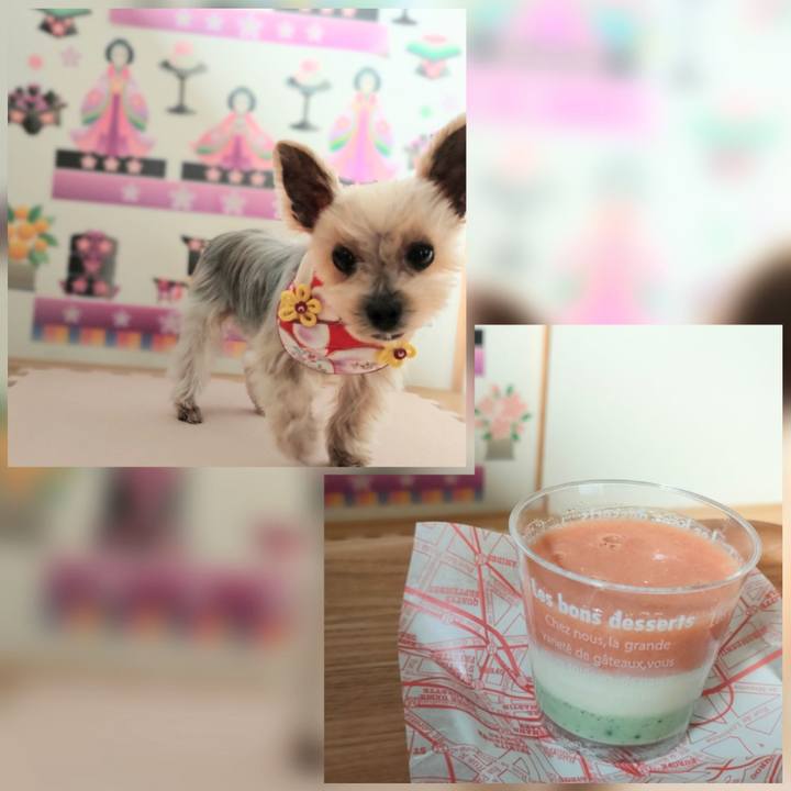 D5829e8d 744e 46ba a8a3 1e7fe8ad51be 1646286163769