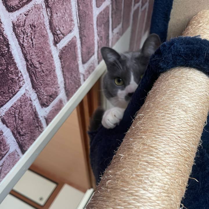 D582d1af 0bed 44f0 84da 52fcdbb2825f 1738458538278