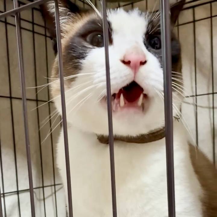 D582d921 87ae 4216 9c33 a620bb96b6c9 1750757855390