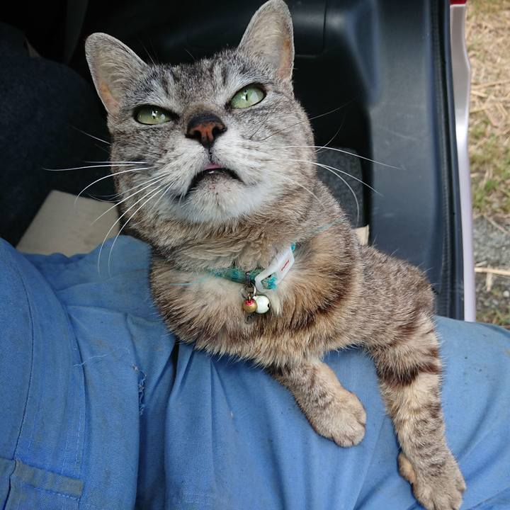 D582df82 f0dc 4f59 a577 4ad617514f4a 1561260324912