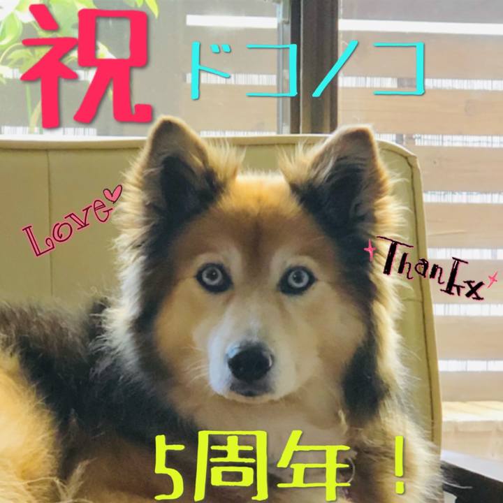 D582eb71 b23f 41a8 bd7c 423a015e9a67 1622859681392