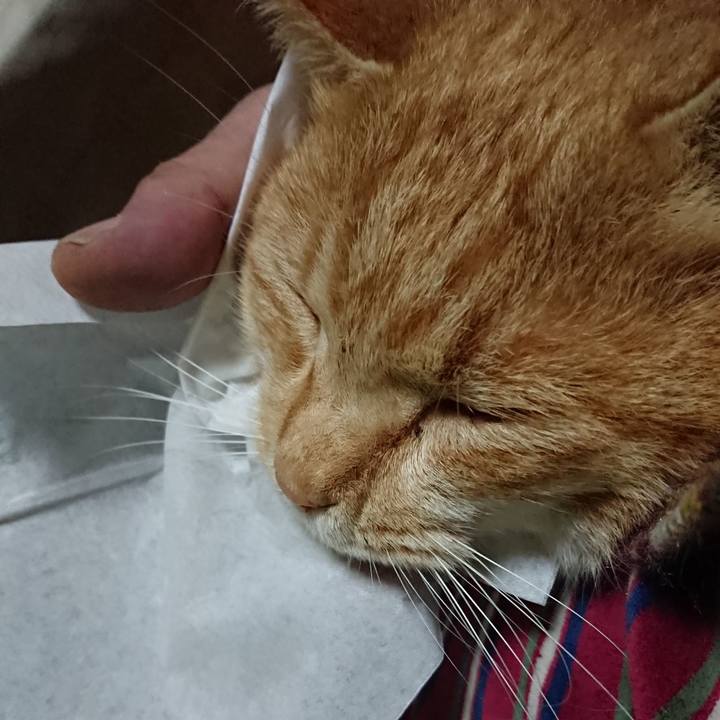 D583190c b541 424a b974 b24df507d634 1576842468059