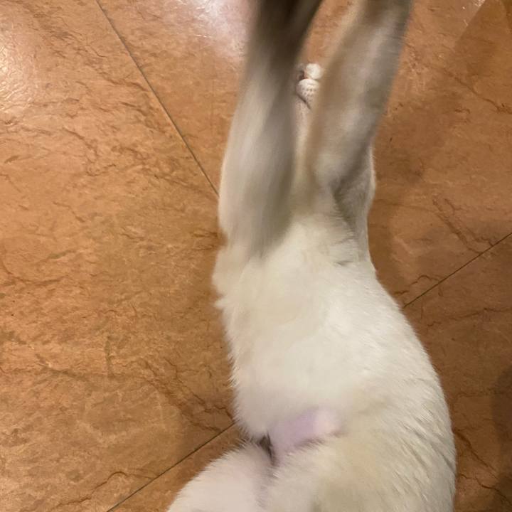 D5832b38 8fec 4280 84a4 20066de13989 1636884623304