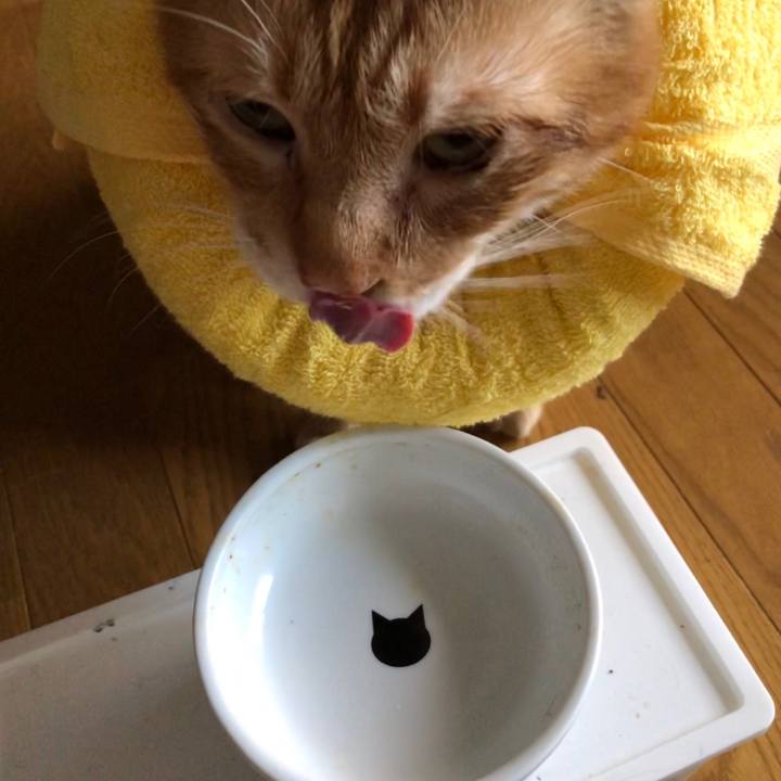 D5832f8a 9648 4f15 a3a8 08dc7b2c29b1 1600681799655