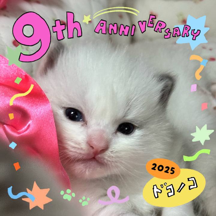 D583503f 31f8 4ee5 b9a2 e9dccbf54c6a 1749624258810