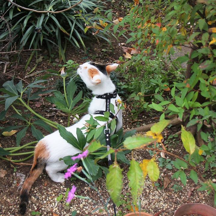 D5837ada 5062 4df3 8ed7 f92c693b8044 1549512216609