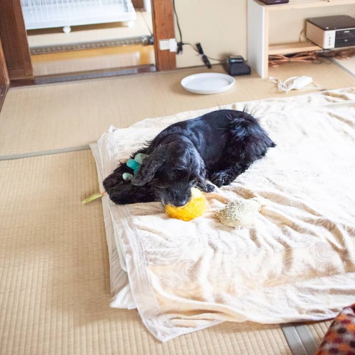 D583b15d aea0 4194 beb0 871ad6ba0f18 1584236686790