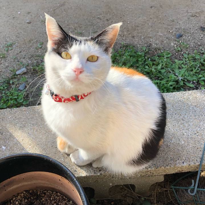 D583b82c 0cb4 4957 a393 9422aa34bb15 1618008938952